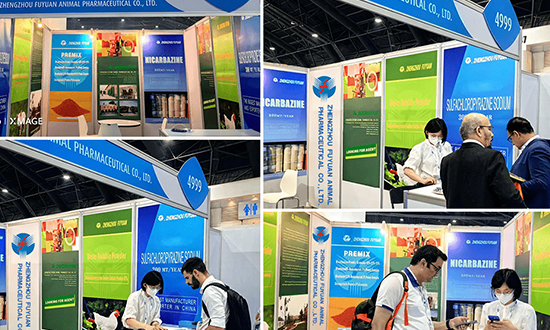 泰國(guó)曼谷國(guó)際工業(yè)展會(huì)｜陪同翻譯開(kāi)始預(yù)定啦